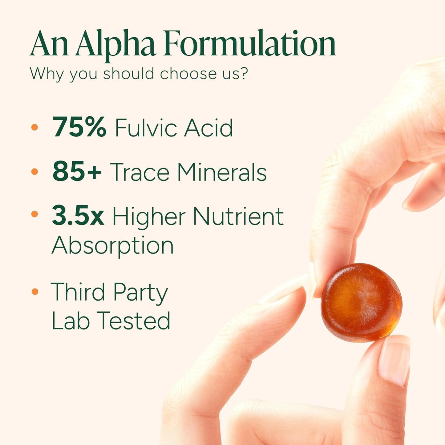 ThePBLabs™ 10-in-1 Alpha Shilajit Gummies