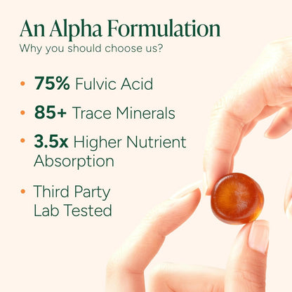 ThePBLabs™ 10-in-1 Alpha Shilajit Gummies